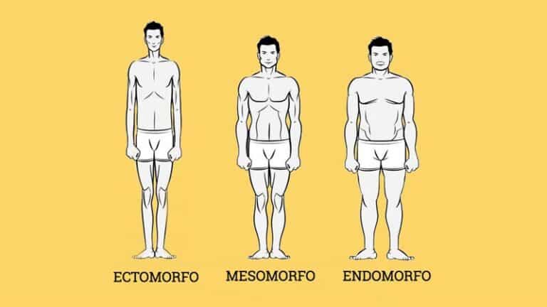 Biotipos Corporales Conoce Los Diferentes Tipos De Cuerpos 0765